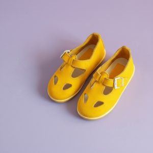 Merceditas troqueladas Mapimí